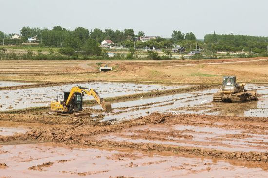 478603c9-2ff6-4859-a037-921412d2d245