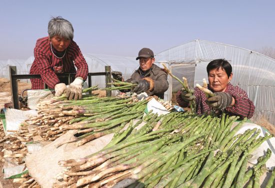 e2c11234-5cff-4ef1-be3d-aa8a182afd4a