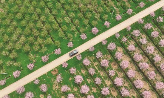 64cc417c-dde8-4bf5-ac9c-1417c4af29df