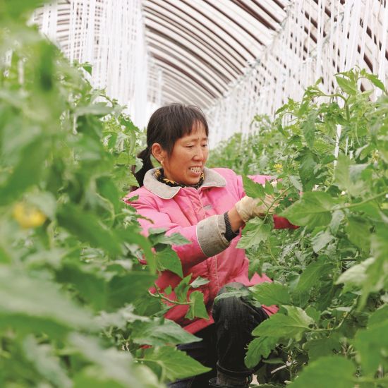 1a1f223c-89f6-4da5-8960-1b52b19b4bab