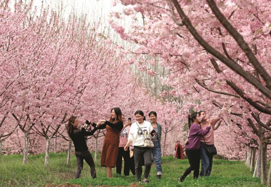 a42daf07-9f44-4054-b8aa-e9c6d7f5e2a5