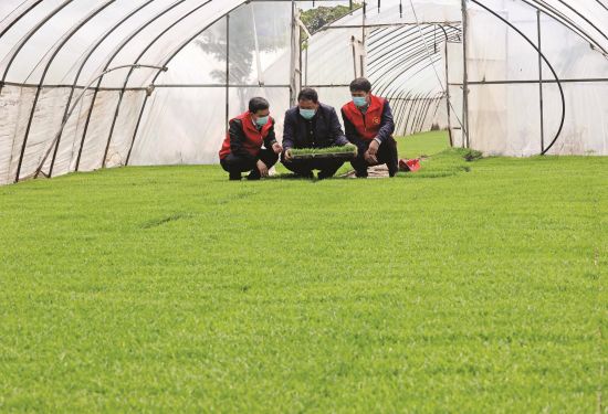 da24d90d-7969-4408-a806-34b23cc4ef46