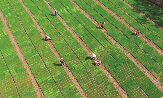 d0fd69ec-07e9-4307-a216-ff92e31a9c5c