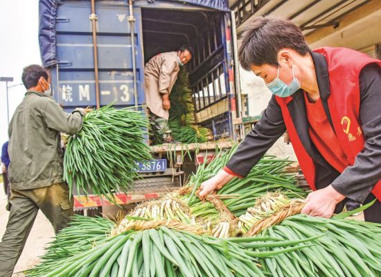 e1791a6a-ea08-465b-81ae-cb43dcdf6466