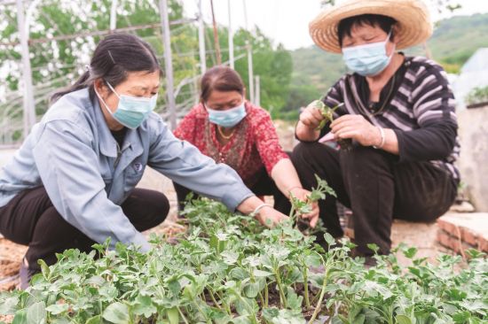 e9dd4830-8856-429b-982c-28d0c3155bae