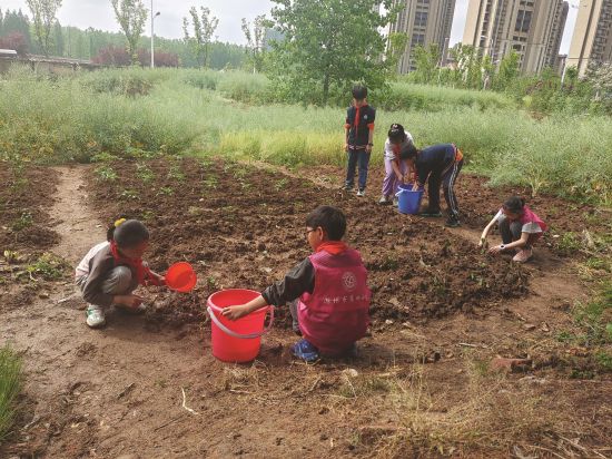 aaf73237-6848-460b-b162-534ea0d39d94