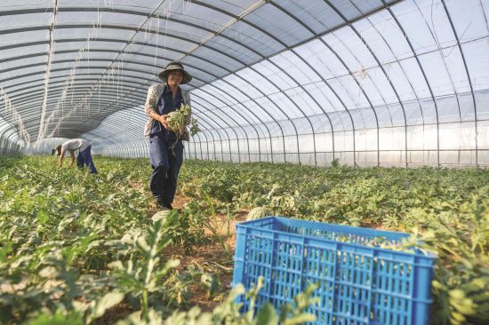 8587dd7f-4dc3-4571-af18-eaa78019a02a