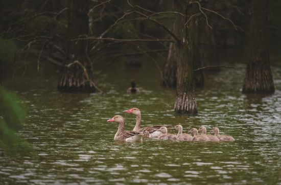 647f5a40-dfd1-4808-a672-e454d40ddf66