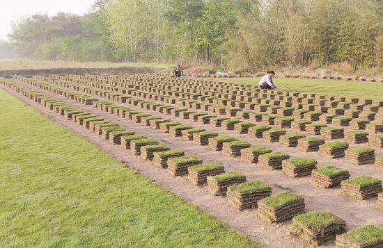 dfe2def0-4d41-4fac-bbea-f586e337f48a