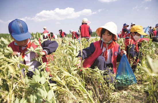 725d8ca4-7248-484b-956c-2952d86343d6