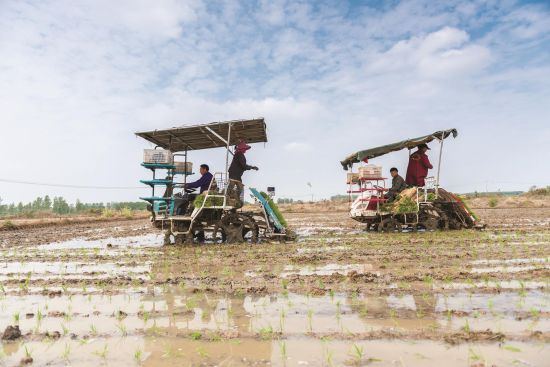 2e70b4b8-875b-4d71-88a2-67464370d136