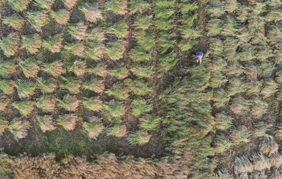 293bb8a9-4e9d-4a77-96e6-2990f92f211d