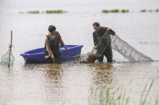 96addda0-b9d5-43bf-947c-60048465d46e