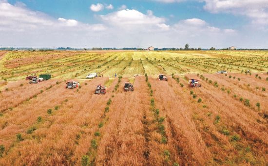 62b53102-b2b0-4aa6-a988-3954fb964481