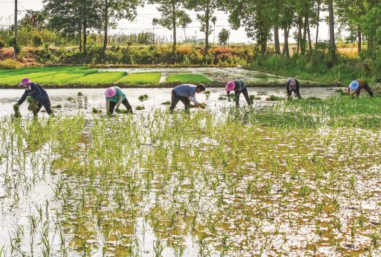 df63ac5d-e70b-4159-9b06-763a9ff8ab7e