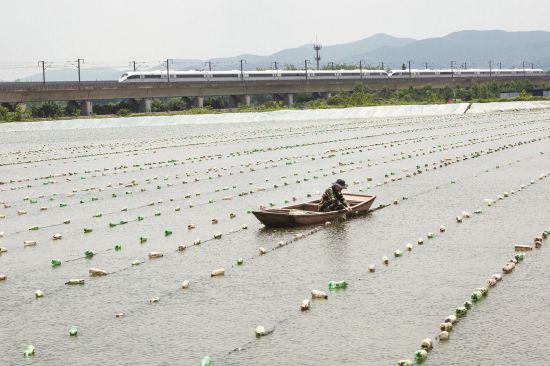 478ac451-4f20-4590-9a42-2908efdc6527