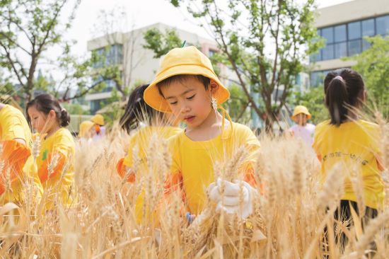 0acc4b72-25f0-4dd1-960a-3340ec948373