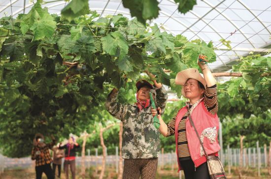 d2972dc8-d5fa-4514-a48d-fa27b4dc8af1