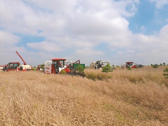 61a093bf-4345-4844-b8b9-9ed6072f9a1a