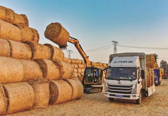 31a21811-8a11-4195-94bf-192f83afdad0