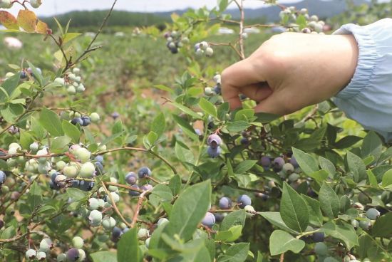 540b6359-b2d7-4369-a3dd-edb5255231cd