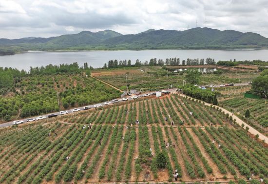 959e881c-3b95-48ad-bb9d-8f796d5b4970