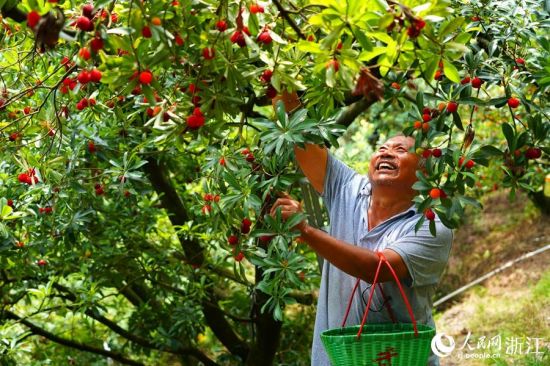 LOCAL202206091411000076953731661