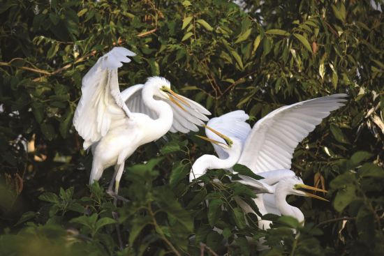 25cd212b-44d7-4353-8321-9fbbffedb926