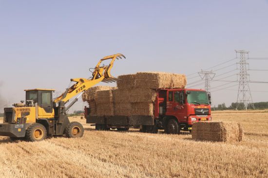 5da76285-978c-4a53-a122-c6e9adcecc72