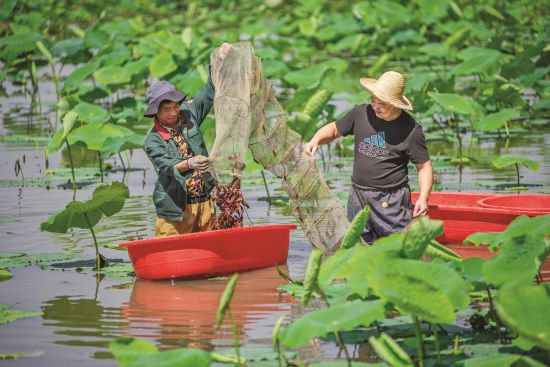 4c835653-b7a3-4301-a0cb-b7c7f085cc47