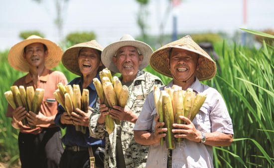 08b31d7a-e9a7-4f02-9d2e-dda3121d2df2