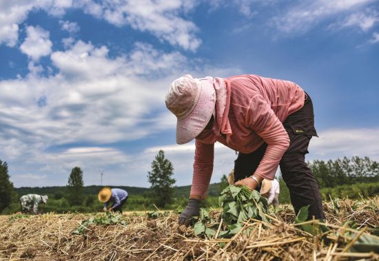 2fc9a465-da6e-4c71-8c81-9a3a4cea985f