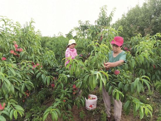 4e54e34b-e952-4d33-a681-32e405c53c11