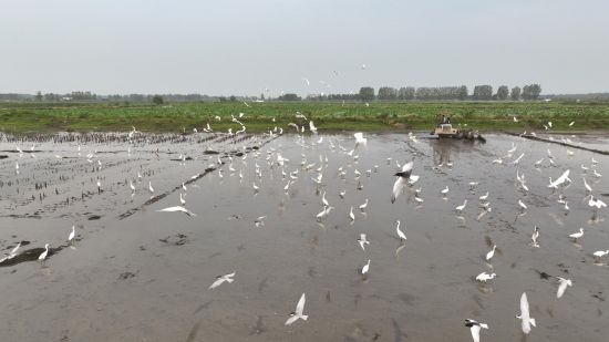 30a588a2-1965-4748-9b52-535a1cc99378