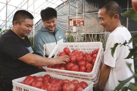 aabcae59-4e6d-469d-81d3-8bf12b52d3d7