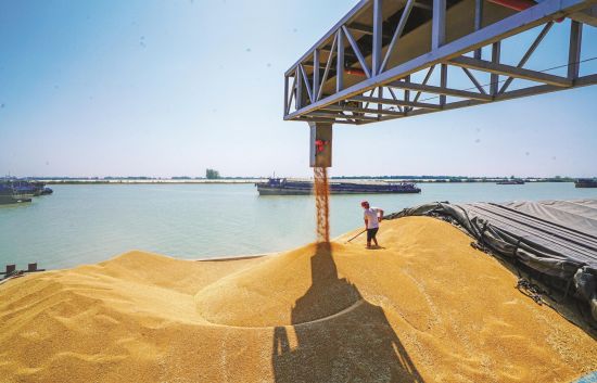 3c7d110c-c862-4f94-adf9-e6d46fc33403