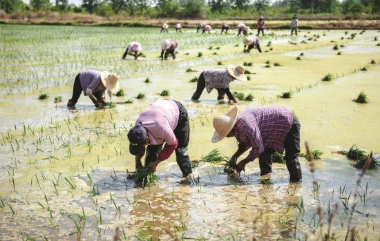 12ef572b-a119-4b50-a3d0-538b28535088