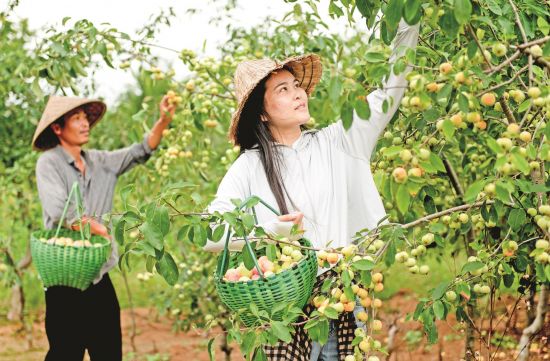 5dcab524-5741-466a-8875-4d75b0511319