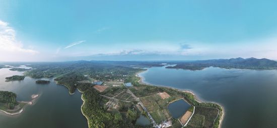 4da1d0a3-2f3d-4c66-a17b-a48e9c43e4ba