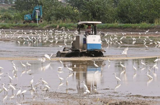 4b3e323c-b7b2-4a30-bfb5-ae6c01395d49