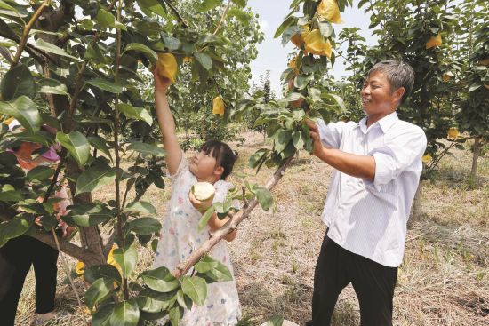 f799092d-0581-4273-82b1-8104c44bc974