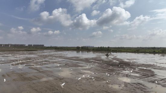 ee97b410-64f6-4e11-8664-a76ff2cd5db1