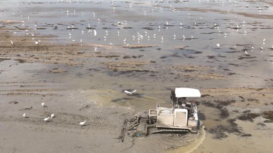 e870906c-5180-4570-90a2-5532eea6d60d