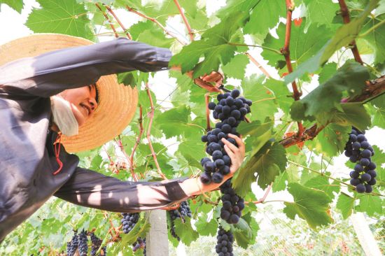 257604a3-2481-4637-a49d-194ddb35414a