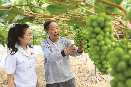 a3461fe0-c1e6-4ad4-a3a6-dfd75be7a4eb