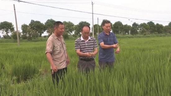 457b49ed-517a-41d0-ad2b-4c9db2db5d8f