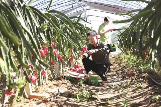 cc19ef2a-8ac5-4fef-b0b0-0e46bb44ac5e