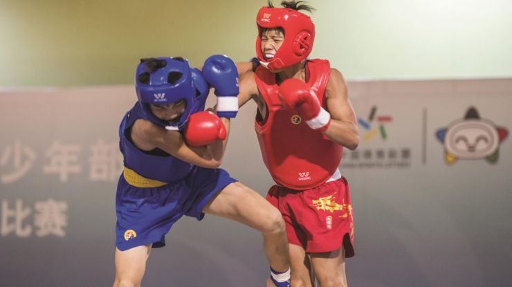 省十五运青少年部武术散打比赛我市代表队勇夺3金4银3铜 