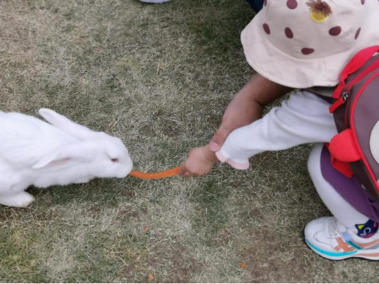 /uploads/image/2022/08/12/5e08427e2e9306f4f0bb7cd0880a5043.png 图片.png