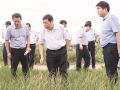许继伟到来安调研抗旱工作